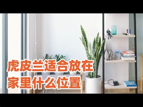 房間可以放照片嗎|牆上照片別亂掛！放錯犯「風水禁忌」小心招小三